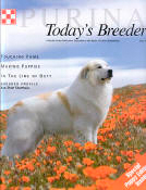 Great Pyrenees